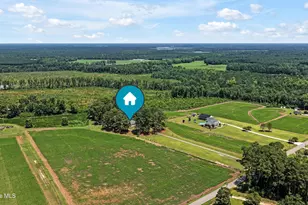 3275 Horse Branch Rd, Burgaw, NC 28425 - Photo 43