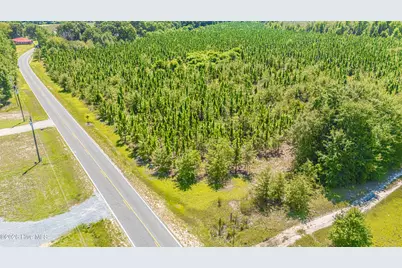 Tbd Blue Springs Road, Red Springs, NC 28377 - Photo 3