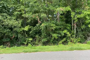 325 Trelawney Ct, Wilmington, NC 28411 - Photo 1