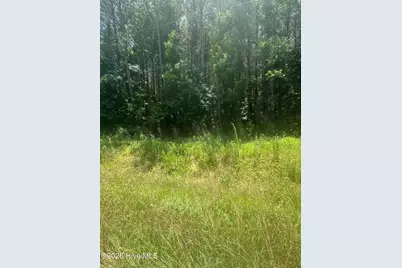 Near 721 Near 721 Joe Piver R Road, Chadbourn, NC 28431 - Photo 1
