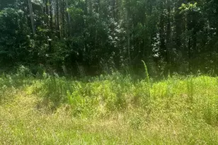Near 721 Near 721 Joe Piver R Rd, Chadbourn, NC 28431 - Photo 1