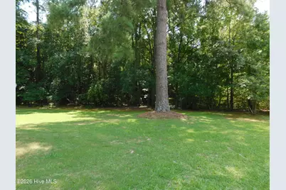 5020 Main Street, Gibson, NC 28343 - Photo 37