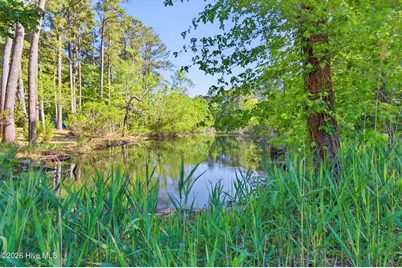170 Discovery Trail, Hertford, NC 27944 - Photo 13