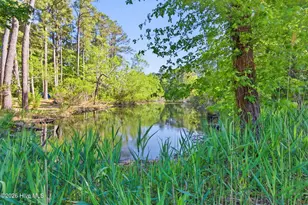 170 Discovery Trail, Hertford, NC 27944 - Photo 13