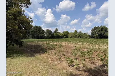 685 Snake Road, Lumberton, NC 28358 - Photo 3
