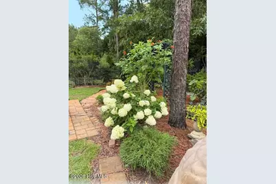 203 Whimbrel Way, Hampstead, NC 28443 - Photo 41