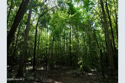 Lot 2 Mobley Road, Lucama, NC 27851 - Photo 17