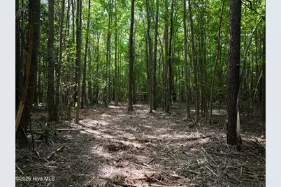 Lot 2 Mobley Road, Lucama, NC 27851 - Photo 5