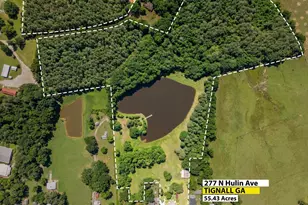 277 N Hulin Ave, Tignall, GA 30668 - Photo 39