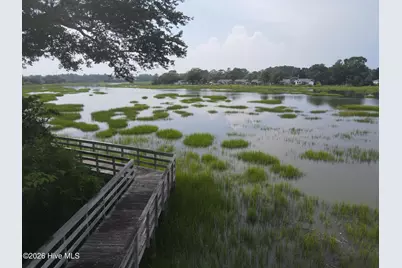 1012 American Egret Way, Morehead City, NC 28557 - Photo 19