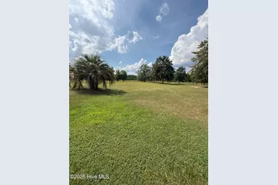 2171 Gene Howard Road, Stapleton, GA 30823 - Photo 41