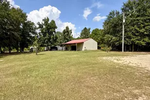 2171 Gene Howard Rd, Stapleton, GA 30823 - Photo 47
