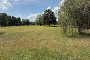 2171 Gene Howard Rd, Stapleton, GA 30823 - Photo 55