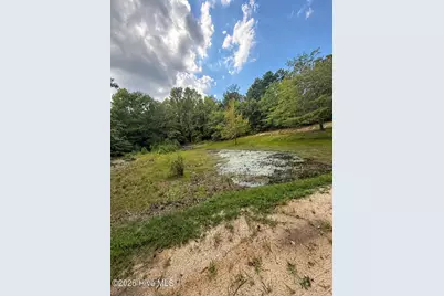 2171 Gene Howard Road, Stapleton, GA 30823 - Photo 35