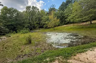 2171 Gene Howard Rd, Stapleton, GA 30823 - Photo 35