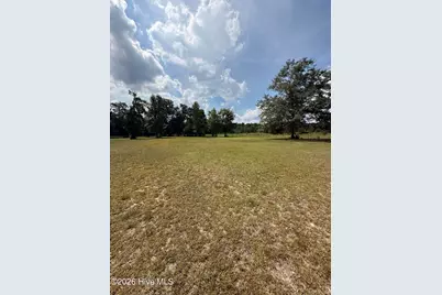 2171 Gene Howard Road, Stapleton, GA 30823 - Photo 59