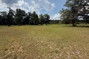 2171 Gene Howard Rd, Stapleton, GA 30823 - Photo 59