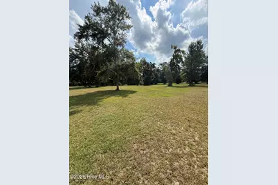 2171 Gene Howard Road, Stapleton, GA 30823 - Photo 57