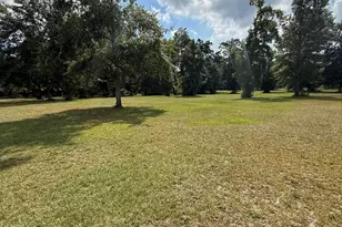 2171 Gene Howard Rd, Stapleton, GA 30823 - Photo 57