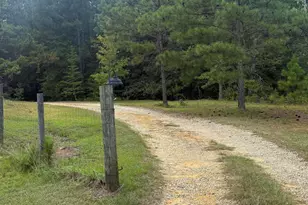 2171 Gene Howard Rd, Stapleton, GA 30823 - Photo 51