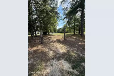 2171 Gene Howard Road, Stapleton, GA 30823 - Photo 43