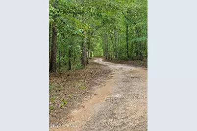 2171 Gene Howard Road, Stapleton, GA 30823 - Photo 33