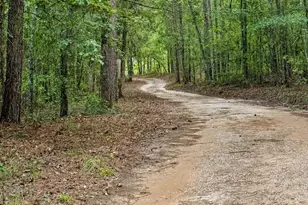 2171 Gene Howard Rd, Stapleton, GA 30823 - Photo 33