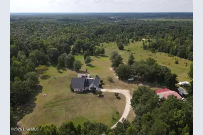 2171 Gene Howard Road, Stapleton, GA 30823 - Photo 63