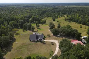 2171 Gene Howard Rd, Stapleton, GA 30823 - Photo 63
