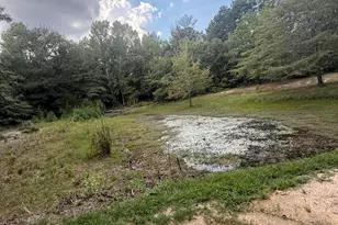2171 Gene Howard Rd, Stapleton, GA 30823 - Photo 53