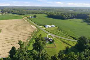 623 Moore Town Rd, Walstonburg, NC 27888 - Photo 39
