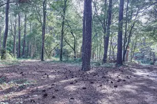 1536 Marks Creek Church Rd, Laurel Hill, NC 28351 - Photo 39
