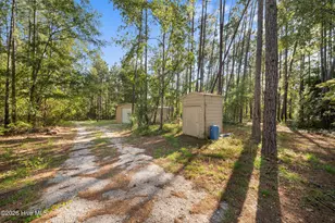435 Canoochee Bypass, Midville, GA 30441 - Photo 51