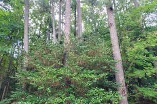 330 Brighton Rd, Wilmington, NC 28409 - Photo 21