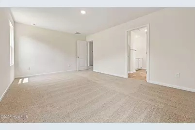 100 Franklin Landing, Pikeville, NC 27863 - Photo 37