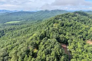 81 Grant Dr, Brasstown, NC 28902 - Photo 55