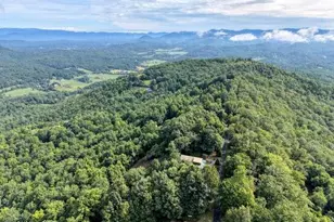 81 Grant Dr, Brasstown, NC 28902 - Photo 57
