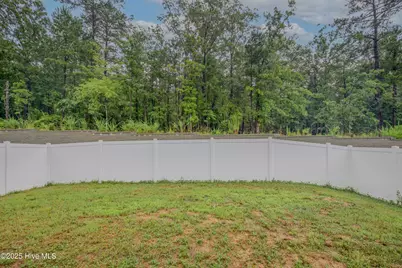 755 Conductor Court, Vass, NC 28394 - Photo 49