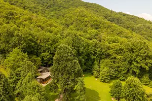 3454 Franks Creek Rd, Robbinsville, NC 28771 - Photo 67