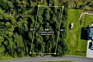 441 Chadwick Acres Rd, Sneads Ferry, NC 28460 - Photo 1