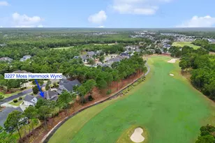 3227 Moss Hammock Wynd, Southport, NC 28461 - Photo 45