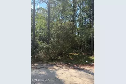 2865 Robin Drive SW, Shallotte, NC 28470 - Photo 9
