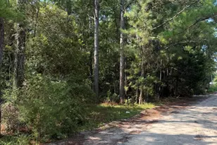 2853 Robin Dr SW, Shallotte, NC 28470 - Photo 1