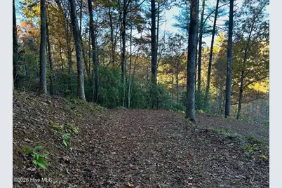 84 Nottley Ridge Road, Murphy, NC 28906 - Photo 3