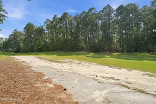 30000 Loblolly Ct, Wagram, NC 28396 - Photo 39