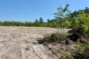 0 Dowd Dairy Rd, White Oak, NC 28399 - Photo 1