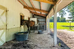 6339 Reedy Branch Rd, Winterville, NC 28590 - Photo 73
