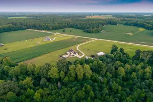 6339 Reedy Branch Rd, Winterville, NC 28590 - Photo 79