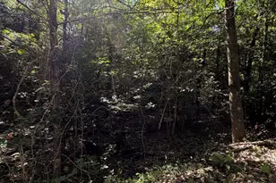 0 Explorer Rdg, Murphy, NC 28906 - Photo 1