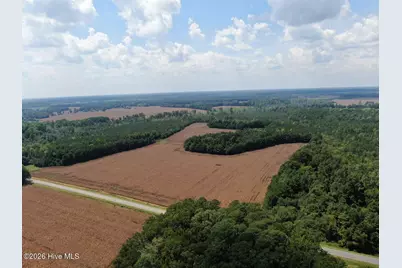 Tbd Pleasant Hope Road, Fairmont, NC 28340 - Photo 1